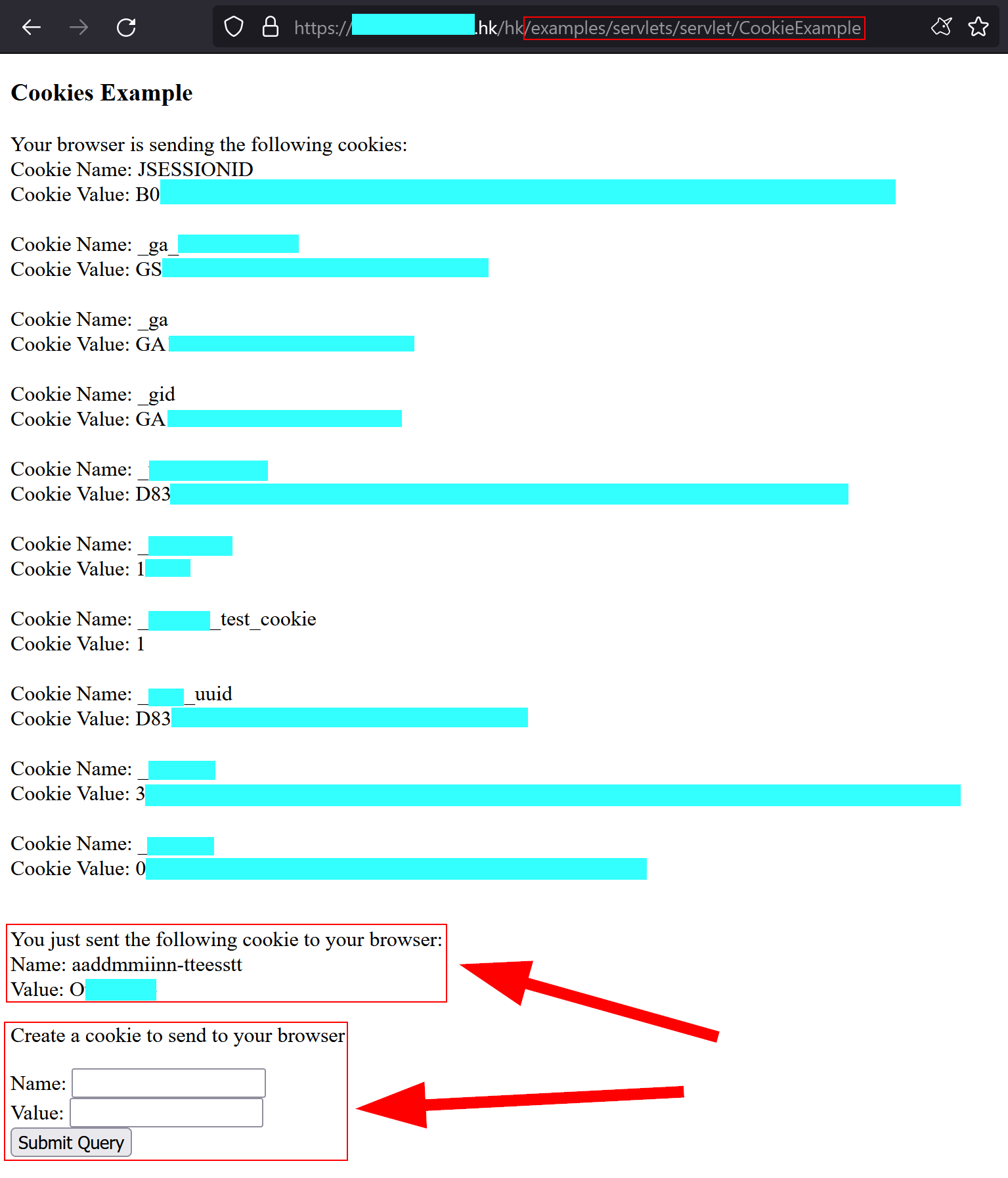 CookieExample1 Sample